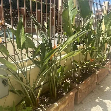 Daire Casa Di Giugiu *